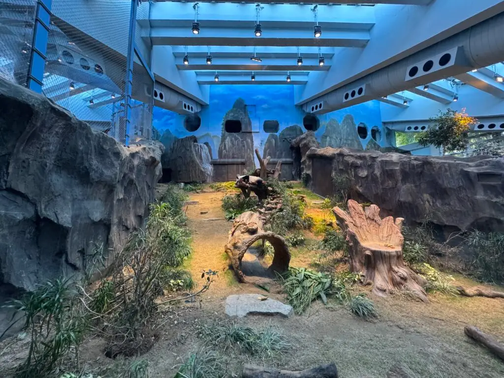 龍椅和中空古樹